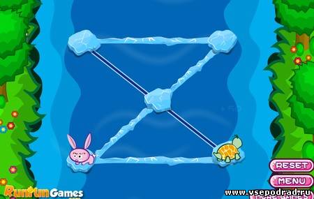 Race with Rabbit