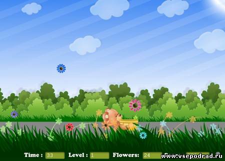 Flower Catcher
