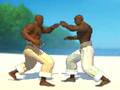 Capoeira Fighter