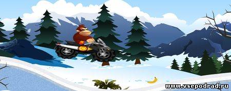 Donkey Kong Ice Adventure